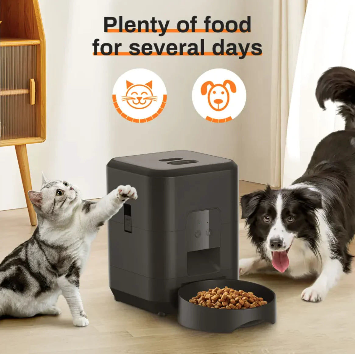 Intelligent Pet Feeder with App