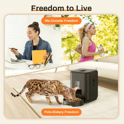 Intelligent Pet Feeder with App